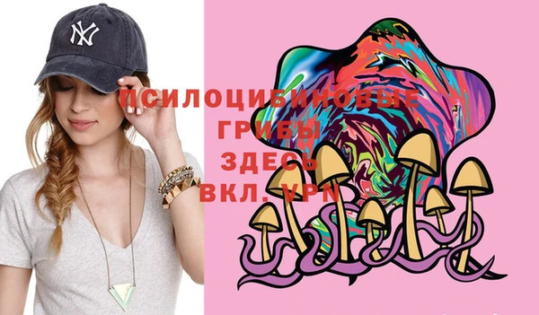 не бодяженный Заводоуковск