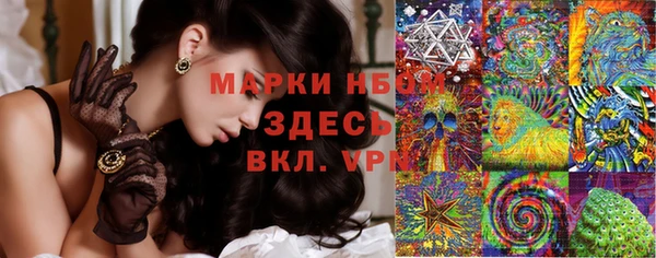 амф Чекалин